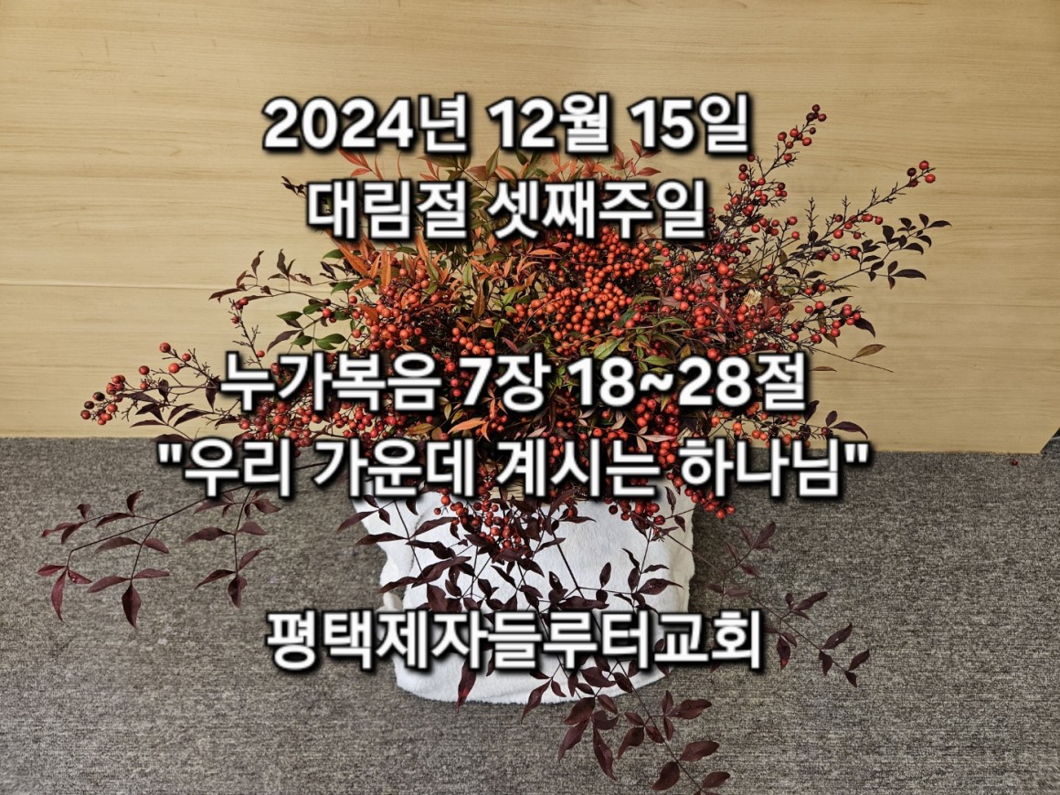 ed1175e207d7264549eb81ab3b090caf_1734235943_4803.jpg