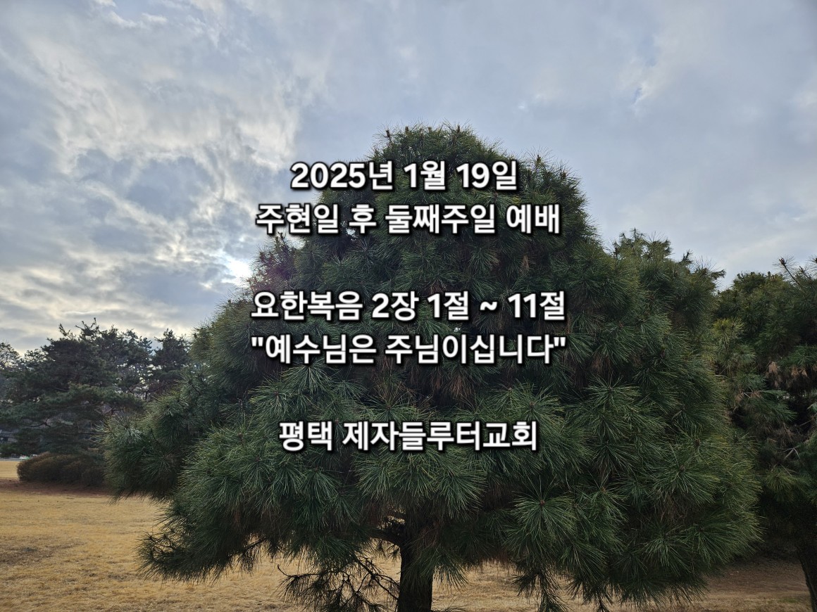 3b738dd44ca0a49153de67dd862f97a2_1737258378_5743.jpg