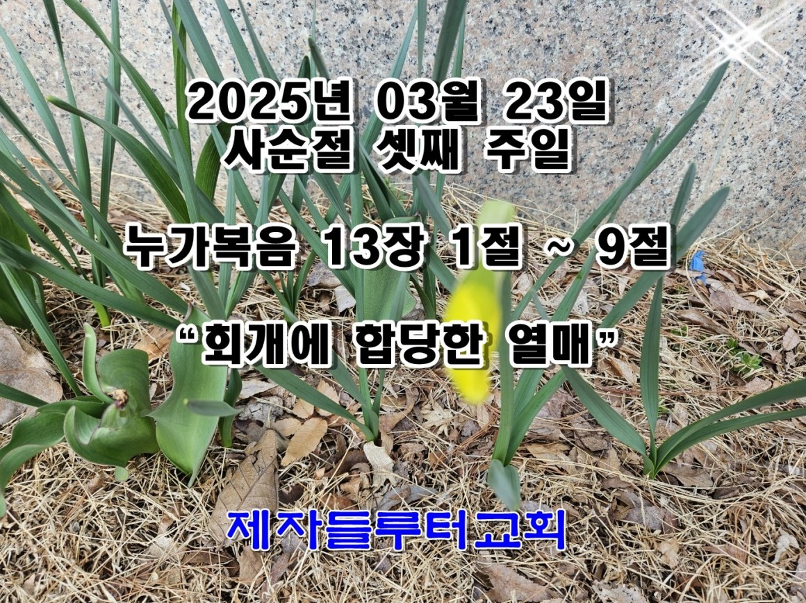 e950ba08536820865189ae0482eb9e7b_1742690476_3574.jpg